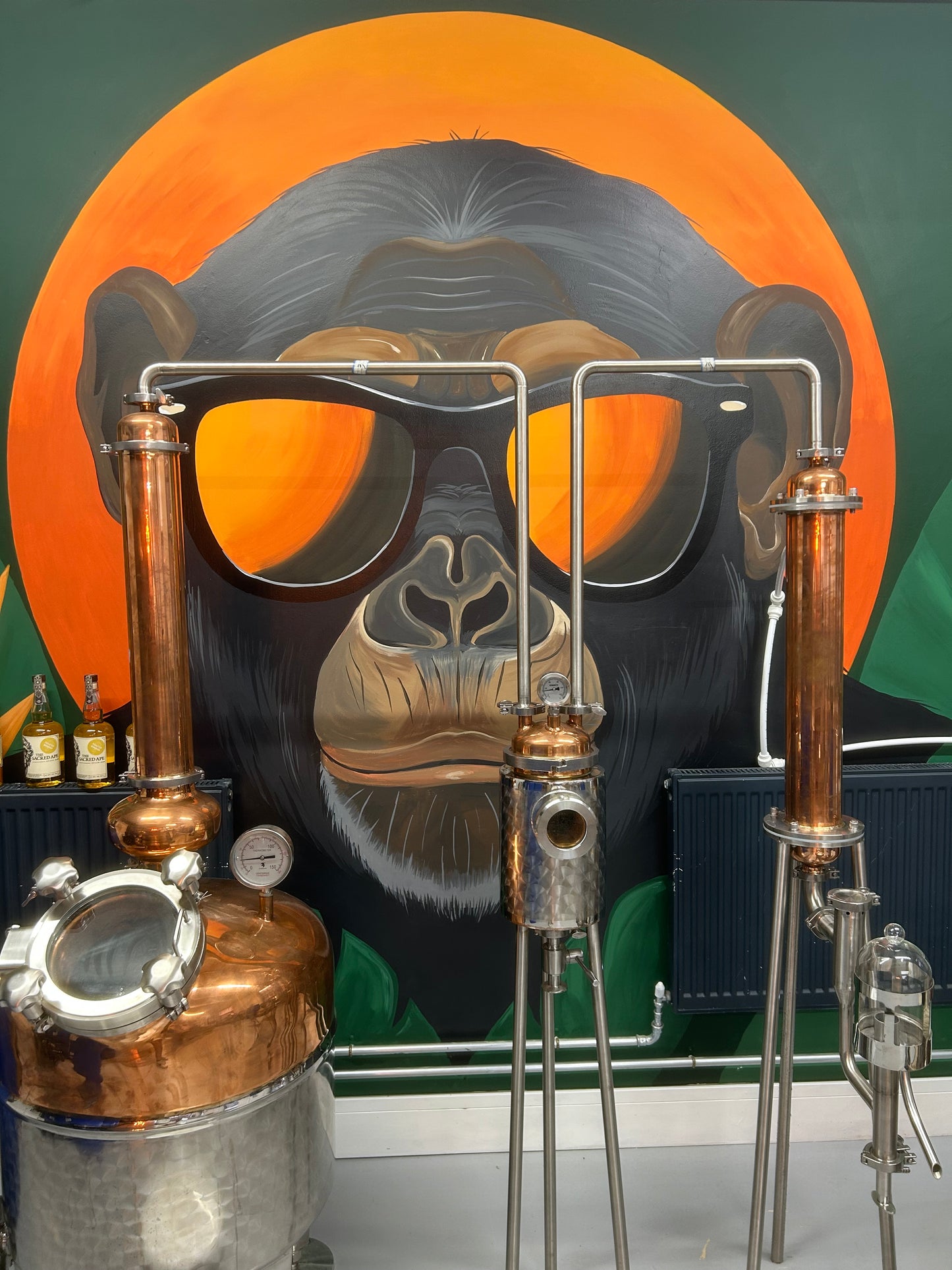 
                  
                    Rum Studio Workshops
                  
                